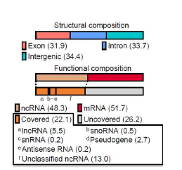 C. elegans의 transcriptome 분석