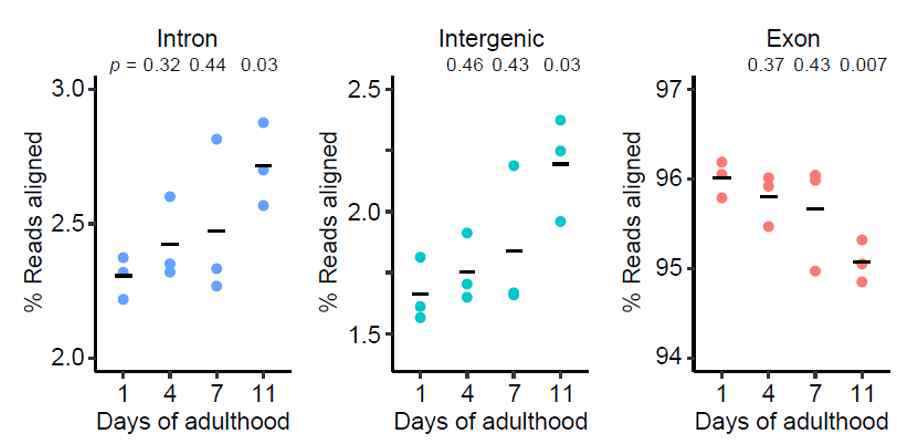 C. elegans의 노화에 따른 구조적 transcriptome 분석