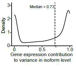 transcriptome에서의 isoform 양의 기여