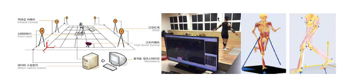 인체 동작 데이터 수집 시스템 개략도(좌), 실 제 실험 수행(중), 보행 자세에 따른 근골격 분석(우)