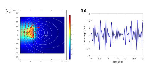 (a) 코일 주변의 자속 밀도 표준(T) 및 자력선, (b) 자석의 진동으로 인한 발생 전압