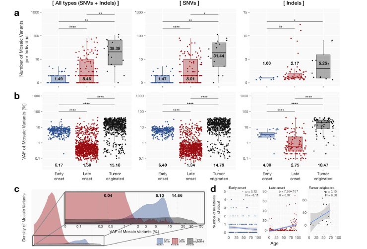 Early onset, late onset, tumor originated somatic mutation에서 각각 돌연변이 개수, VAF, 나이와의 상관관계를 분석함