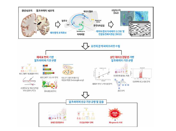 정상 및 알츠하이머 환자 뇌조직의 미세부위 전장유전체서열분석을 통한 연구 파이프라인