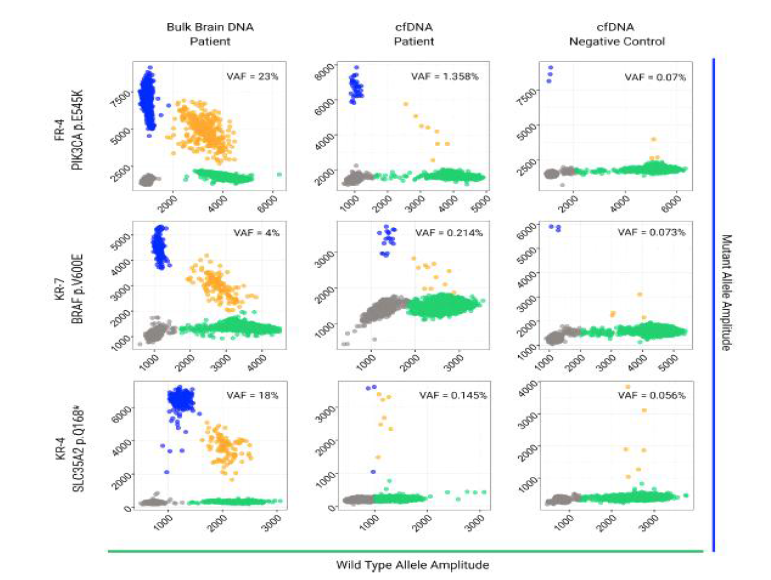 ddPCR 결과로 얻어진 CSF에서 돌연변이를 검출한 2D scatter plot. Wild-type droplet: HEX+ 녹 색, 돌연변이 droplet: FAM+ 파란색, double negative (droplet에 wild-type, mutant DNA template 둘 다 없는 경우): 회색, double positive (wild type과 돌연변이 DNA template를 모두 포한한 경우): 주황색으로 표현함