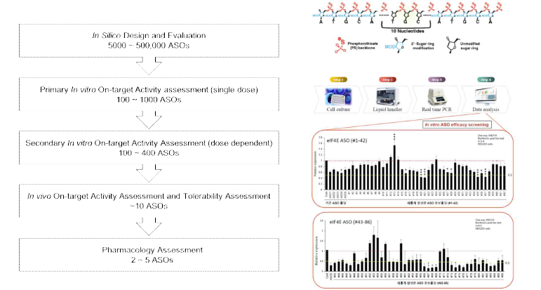 (왼쪽 패널) ASO 치료제 스크리닝 과정을 순차적으로 보여주는 모식도 (오른쪽 위 패널) MOE-GAPMER ASO chemical modification을 보여주는 모식도 (오른쪽 아래 패널) eIF4E ASO 후보 물질 86개 스크리닝한 qPCR 결과 (unpublished data)