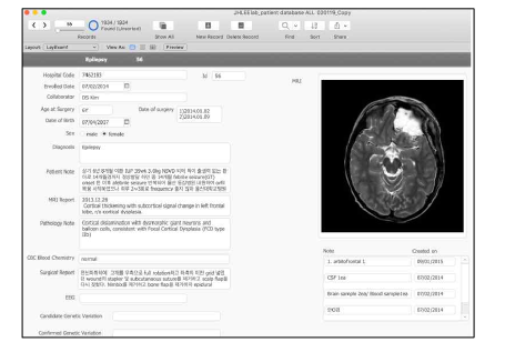 본 연구팀에 구축된 환자 database 예시