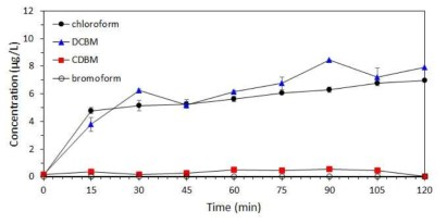 현장수 조건에서 차아염소산나트륨 산화반응 후 THMs의 농도(n=3)