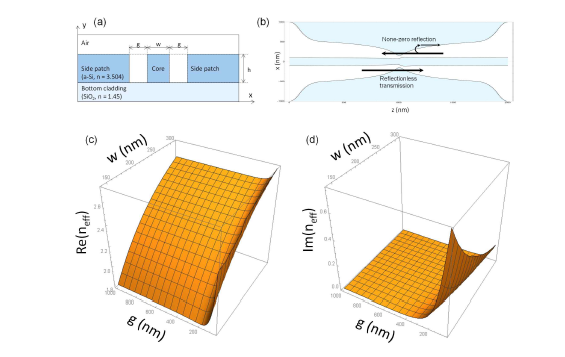 공간영역 Kramers-Kronig relation에 기반한 단방향 무반사 도파로의 구조와 설계 원리. (a) 도파로의 단면구조. (b) 도파로의 평면구조. (c) 구조 파라미터 도파로 폭 w와 터널접합 간격 g에 따른 유효 굴절율 실수부분 분포. (d) 구조파라미터에 따른 유효 굴절율 허수부분 분포