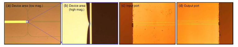 제작된 도파로 소자의 현미경 사진. (a) 단방향 무반사 소자 영역의 저배율 현미경 사진. (b) 소자 영역의 고배율 현미경 사진. (c) 입력 포트의 현미경 사진. (d) 출력 포트의 현미경 사진