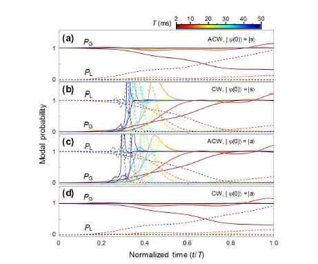 두 adiabatic state의 중첩으로 나타나난 동적 상태가 가지는 기저상태 확률 궤적의 시간상수 T 의존성. (a) |y(0)〉 = |s〉 대칭 초기상태에서 수행된 반시계 방향 EEP 제어. (b) |y(0)〉 = |s〉 대칭 초기상태에서 수행된 시계 방향 EEP 제어. (c) |y(0)〉 = |a〉 반대칭 초기상태에서 수행된 반시계 방향 EEP 제어. (d) |y(0)〉 = |a〉 반대칭 초기상태에서 수행된 시계 방향 EEP 제어. PG와 PL은 동적상태가 증폭상태와 감쇠상태에 있을 확률을 각각 나타낸다