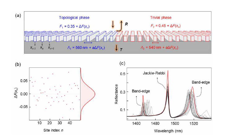 구조적 랜덤 에러에 대한 Topological leaky-mode resonance(LMR)의 동작 견고성