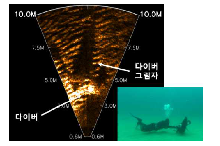 익수자 탐색 실험(실해역)