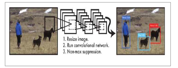 The YOLO Detection System