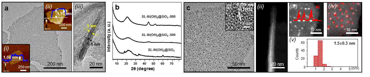 ‘니켈-실리카 카트리지’의 열 전환 전 (a) TEM 및 AFM, (b) XRD, 열 전환 후, (c) TEM, HR-TEM, HADDF-STEM, Line-mapping, size distribution