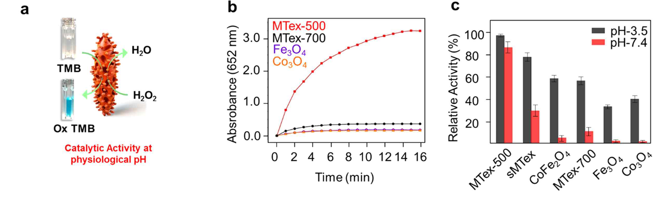 (a) 나노입자의 촉매 활성 ROS 촉매 반응, (b) TMB 산화 kinetics, (c) pH 의존적 ROS 생성