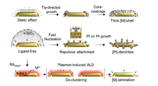 강한 환원제 (RAdeact = 비활성화된 형태, RAact = 활성화된 형태의 환원제)에 의한 CTAB-AuNRs와 AuNR@h-SiO2상의 금속 성장 매커니즘과 플라즈몬 유도 원자층 증착 (ALD)의 도식 표현