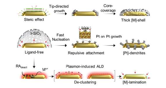 강한 환원제 (RAdeact = 비활성화된 형태, RAact = 활성화된 형태의 환원제)에 의한 CTAB-AuNRs와 AuNR@h-SiO2상의 금속 성장 매커니즘과 플라즈몬 유도 원자층 증착 (ALD)의 도식 표현
