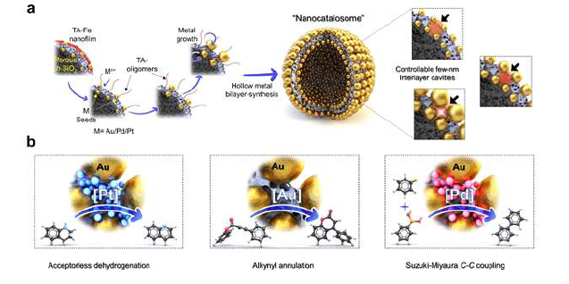 나노 카탈로좀의 합성 과정 및 촉매 귀금속 기능화
