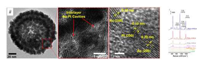 나노 카탈로좀의 TEM 이미지 및 SERS 스펙트럼