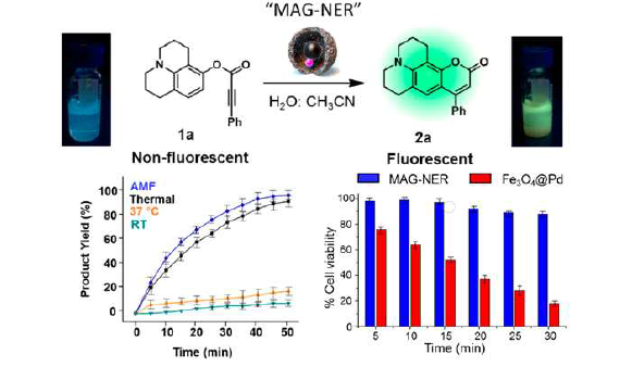 (a) MAG-NER의 Pd-촉매화 carbocyclization 반응 전 후 용액의 사진과 도식. (b) 다양한 가열 조건에서의 반응속도론적 연구와 (c) MAG-NER을 처리한 MCF-7의 자기장 노출 후 세포 생 존도 결과