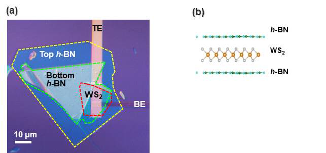 (a)WS2와 hBN 적층 제작된 소자 이미지, (b)WS2와 hBN 적층구조 모식도
