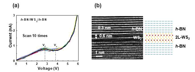 (a) hBN/WS2/hBN 적층구조의 I-V graph, (b) hBN/3-layer WS2/hBN 적층구조의 TEM 이미지