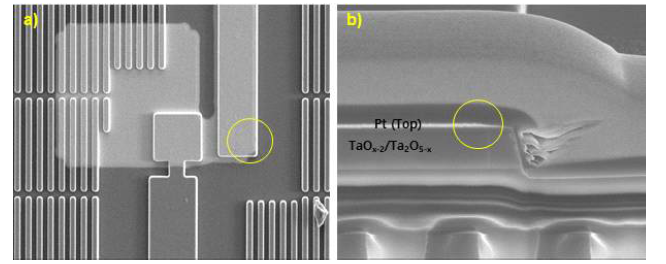 CMOS 직접 시냅스 Array 중 단위 소자 FIB-SEM image