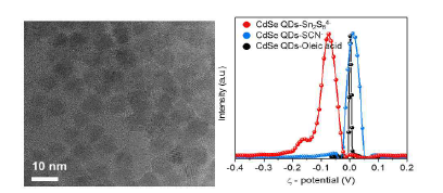 무기 리간드로 제어된 CdSe 양자점 물질의 전자현미경 (TEM) 이미지 (좌), CdSe 양자점의 리간드별 표면 전하도 측정 (우)
