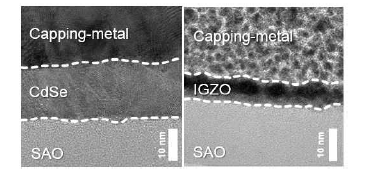금속 칼코겐(CdSe)/금속 산화물 (IGZO) 박막의 단면 전자현미경 이미지