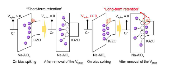 Na 이온의 이동에 따른 시냅스 소자의 절연층/반도체층 계 면 상태 제어 메커니즘