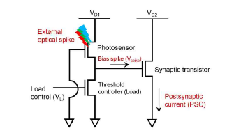 금속 칼코겐/산화물을 이용 한 광시냅스 회로