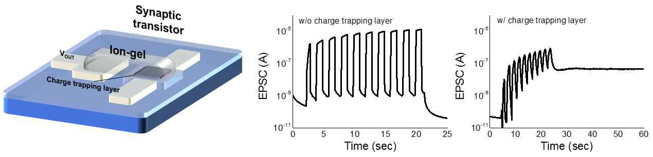 이온젤 시냅스 트랜지스터의 EPSC 특성