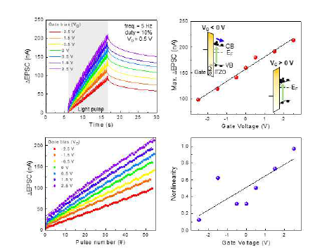 ITZO의 gate bias-dependent한 광 반응성 특성