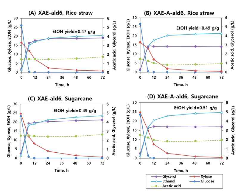 아세트산 대사경로 도입 여부에 따른 (XAE-ald6 vs XAE-A-ald6) 최종 균주의 2종의 바이오매스 당화액 발효 성능 비교