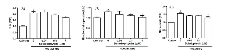 Effect of sciadopitysin on MG-induced oxidative stress in SK-N-MC cells. SK-N-MC cells were pre-incubated with sciadopitysin before treatment with 400 μM MG for 48 h. (A) The mitochondrial ROS production was evaluated with dihydrorhodamine (DHR123). (B) Mitochondrial superoxide levels were detected using MitoSOX™ Red mitochondrial superoxide indicator.(C) Nitric oxide was detected using DAF-FM diacetate. #P < 0.05, control vs. MG; *P < 0.05, MG vs. sciadopitysin