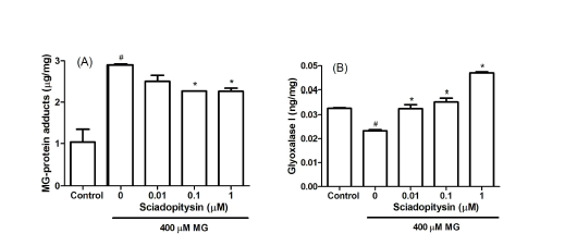 Effect of sciadopitysin on the level of MG-protein adduct (MG-H1) and glyoxalase 1 in MG-treated SK-N-MC cells. Cells were pre-incubated with sciadopitysin prior to addition of 400 μM MG, followed by further incubation for 48 h. The levels of MG-protein adduct (A) and glyoxalase 1 (B) in cytosol were measured via ELISA. #P < 0.05, control vs. MG; *P < 0.05, MG vs. sciadopitysin