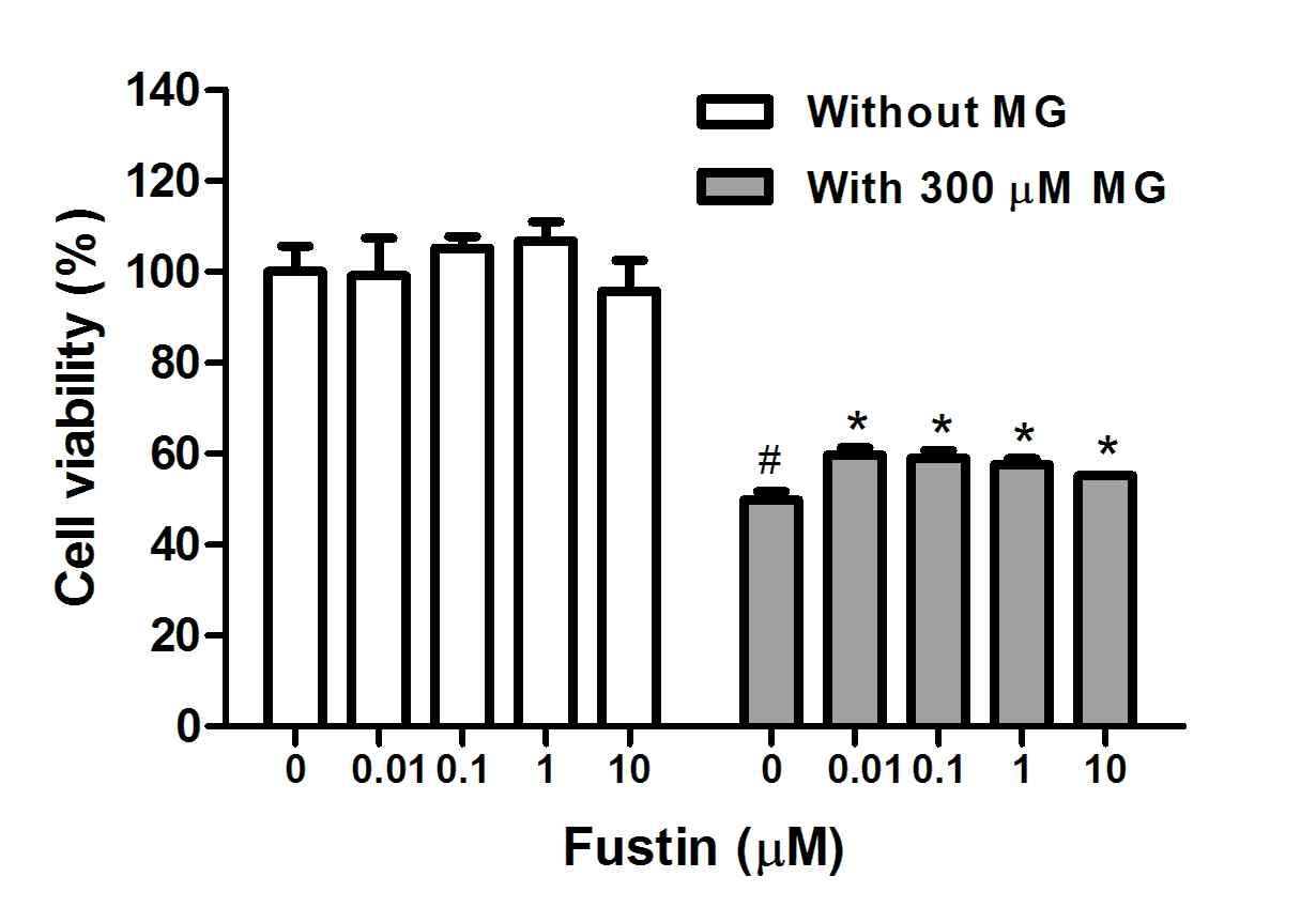 Cytoprotective effect of fustin on RIN-m5F cells. RIN-m5F cells were pre-incubated with fustin before treatment with 300 μM methylglyoxal (MG) for 48 h, and cell viability was assessed by MTT assay. Data are expressed as a percentage of control group levels. #P < 0.05, compared with untreated cells; *P < 0.05, compared with cells treated with MG alone