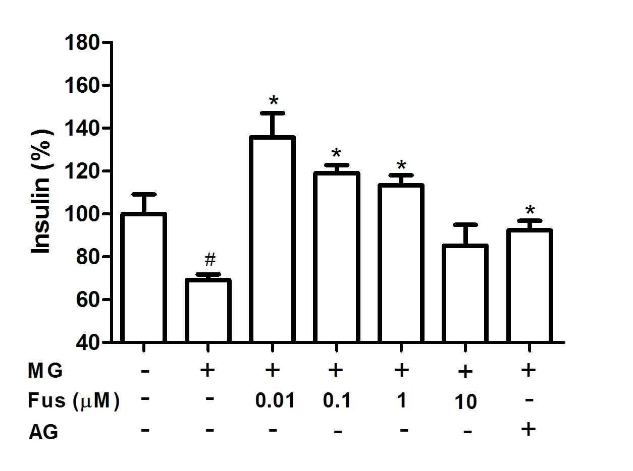 Effect of fustin on the insulin secretion of MG-treated cells. RIN-m5F cells were pre-incubated with fustin (Fus) or 400 μM aminoguanidine (AG) before treatment with 300 μM methylglyoxal (MG) for 48 h. #P < 0.05, compared with untreated cells; *P < 0.05, compared with cells treated with MG alone