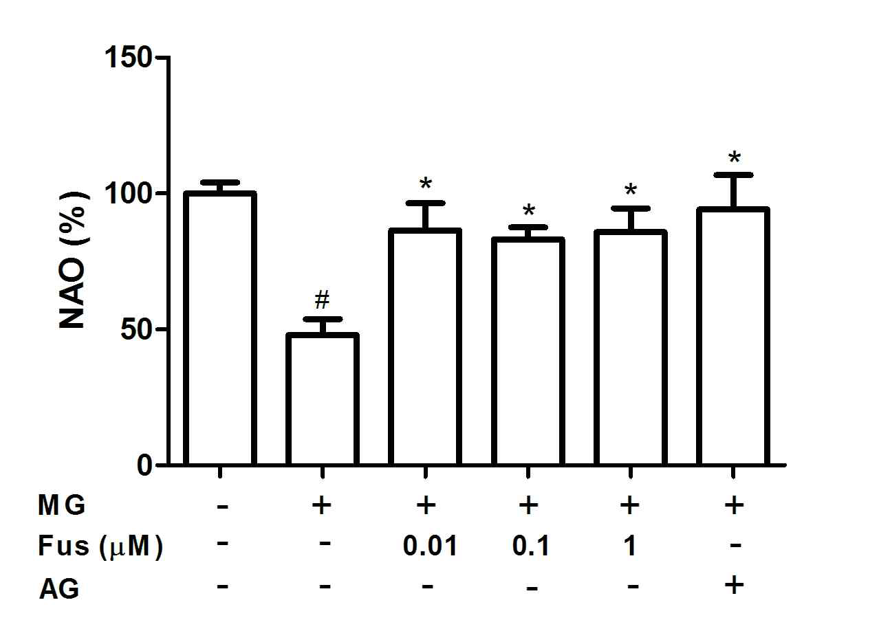 Effect of fustin on cardiolipin peroxidation in MG-treated cells. RIN-m5F cells were pre-incubated with fustin (Fus) or 400 μM aminoguanidine (AG) before treatment with 300 μM methylglyoxal (MG) for 48 h. Note that MG treatment caused a decrease in NAO binding, which may be related to cardiolipin peroxidation. #P < 0.05, compared with untreated cells; *P < 0.05, compared with cells treated with MG alone