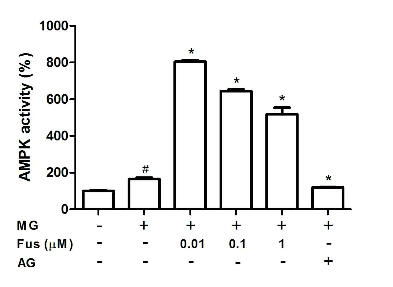 Effect of fustin on the activity of AMPK in MG-treated cells. RIN-m5F cells were pre-incubated with fustin (Fus) or 400 μM aminoguanidine (AG) before treatment with 300 μM methylglyoxal (MG) for 48 h. The control value for AMPK was 15.27 ± 0.886 U/mg. #P < 0.05, compared with untreated cells; *P < 0.05, compared with cells treated with MG alone