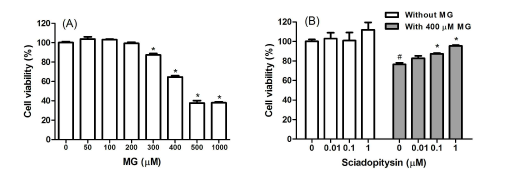 Effect of sciadopitysin on the cell viability of SK-N-MC cells. (A) SK-N-MC cells were incubated with methylglyoxal (MG) for 48 h. (B) SK-N-MC cells were treated with sciadopitysin for 48 h, or SK-N-MC cells were pre-incubated with sciadopitysin before treatment with 400 μM MG for 48 h, and then cell viability was measured. #P < 0.05, control vs. MG; *P < 0.05, MG vs. sciadopitysin