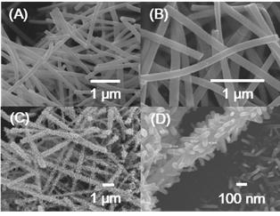 (A,B): 전기방사로 합성한 순수한 WO3 NF의 SEM 이미지, (C,D): WO3 NF 표면 위에 성장시킨 RuO2 NR의 SEM 이미지
