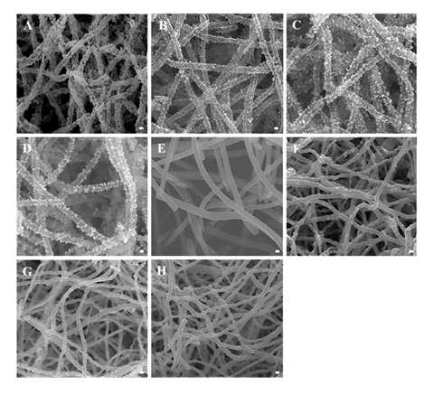 성분비 변화에 따른 NixRh1-xOy, (0 < x < 1)의 SEM 이미지, (A) NiO, (B) x = 0.83, (C) x = 0.77, (D) x = 0.67, (E) x = 0.57, (F) x = 0.39, (G) x = 0.27, (H) RhOy