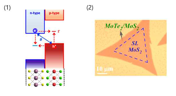 (1) 이차원 소재 p-n 접합에서 전자-정공 쌍들이 터널링에 의해 재결합하는 개략도.4 (2) 이차원 소재 in-situ 성장법으로 형성된 MoTe2/MoS2 반데르발스 이종접합 구조