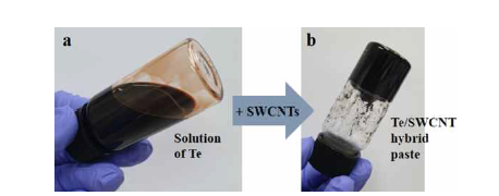 a) Te 입자가 용해된 용액 및 b) Te/CNT 복합 열전 페이스트 사진