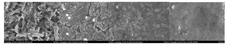 CNT 함량이 a) 2.5, b) 25, c) 50, d) 75 wt%인 Sb2Te3/CNT 복합 열전소재의 SEM 이미지