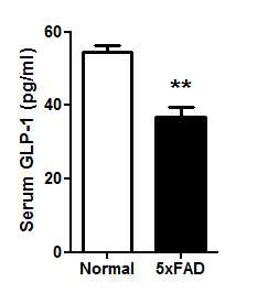 치매모델 생쥐 5XFAD의 혈액 serum에서 GLP1의 level 측정