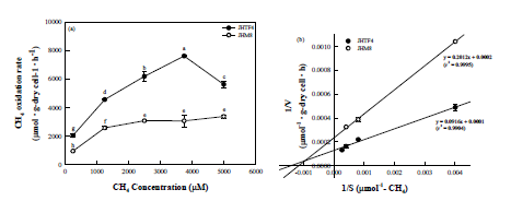 Methylocystis sp. JHTF4 및 Methyloversatilis sp. JHM8에 의한 CH4 산화 속도. (a) 초기 CH4 농도에 따른 CH4 산화 속도 비교. (b) Lineweaver-Burk 플롯
