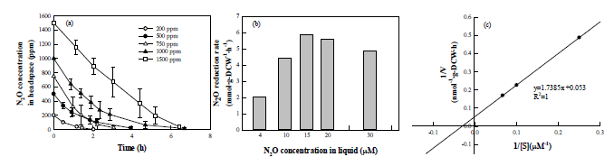 Pseudomonas sp. TF716에 의한 N2O 농도 변화 및 N2O 환원능. (a) 초기 N2O 농도에 따른 N2O 농도 변화 양상. (b) 초기 N2O 농도에 따른 N2O 환원능 비교. (c) Lineweaver-Burk 플롯