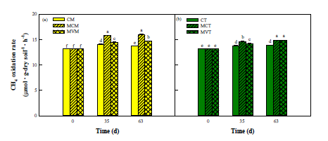 Methylocystis sp. JHTF4 및 Methyloversatilis sp. JHM8에 의한 디젤 오염토양 내 CH4 산화 속도 비교. (a) 옥수수 식재 토양. (b) 톨페스큐 식재 토양
